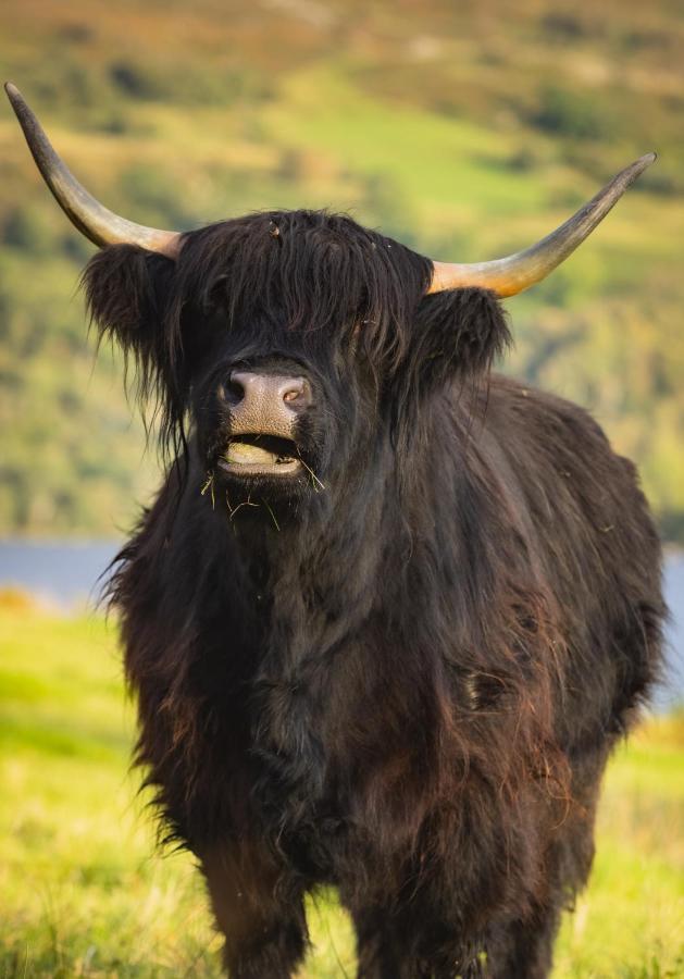 Loch Ness Cottage Форт-Огастус Екстер'єр фото